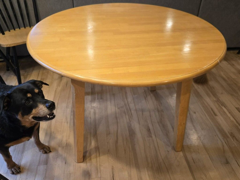 Round Table, No Chairs