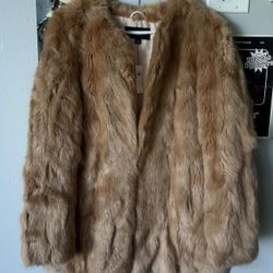 Ann Taylor Mink Coat