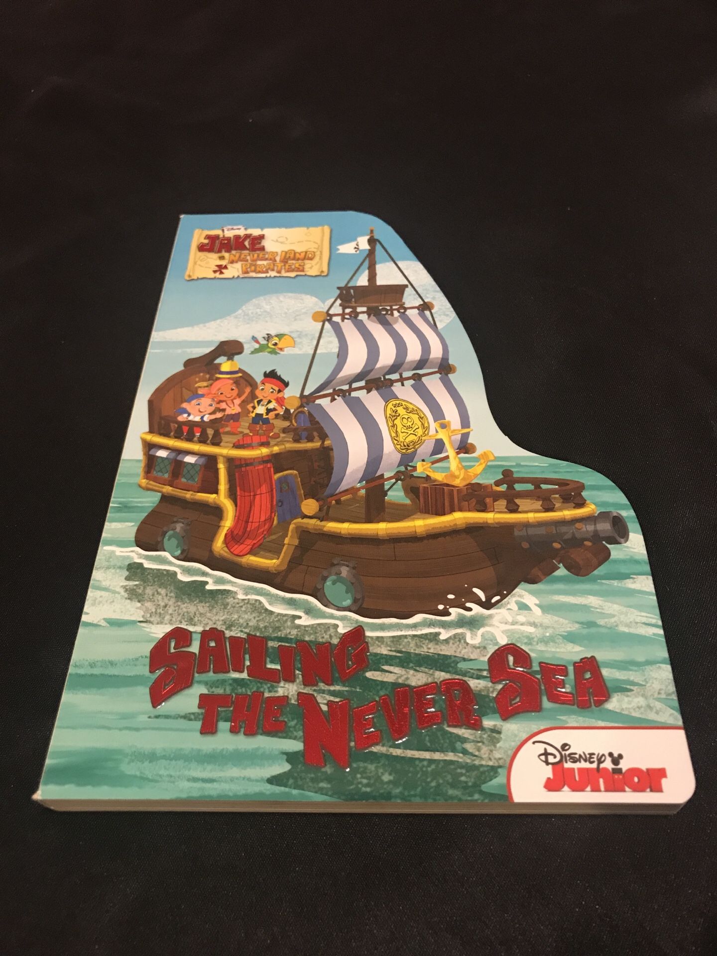 Sailing The Never Sea Children’s Book (brand new)
