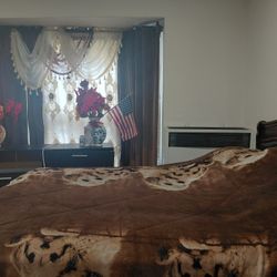 BORREGO C ON DISEÑOS