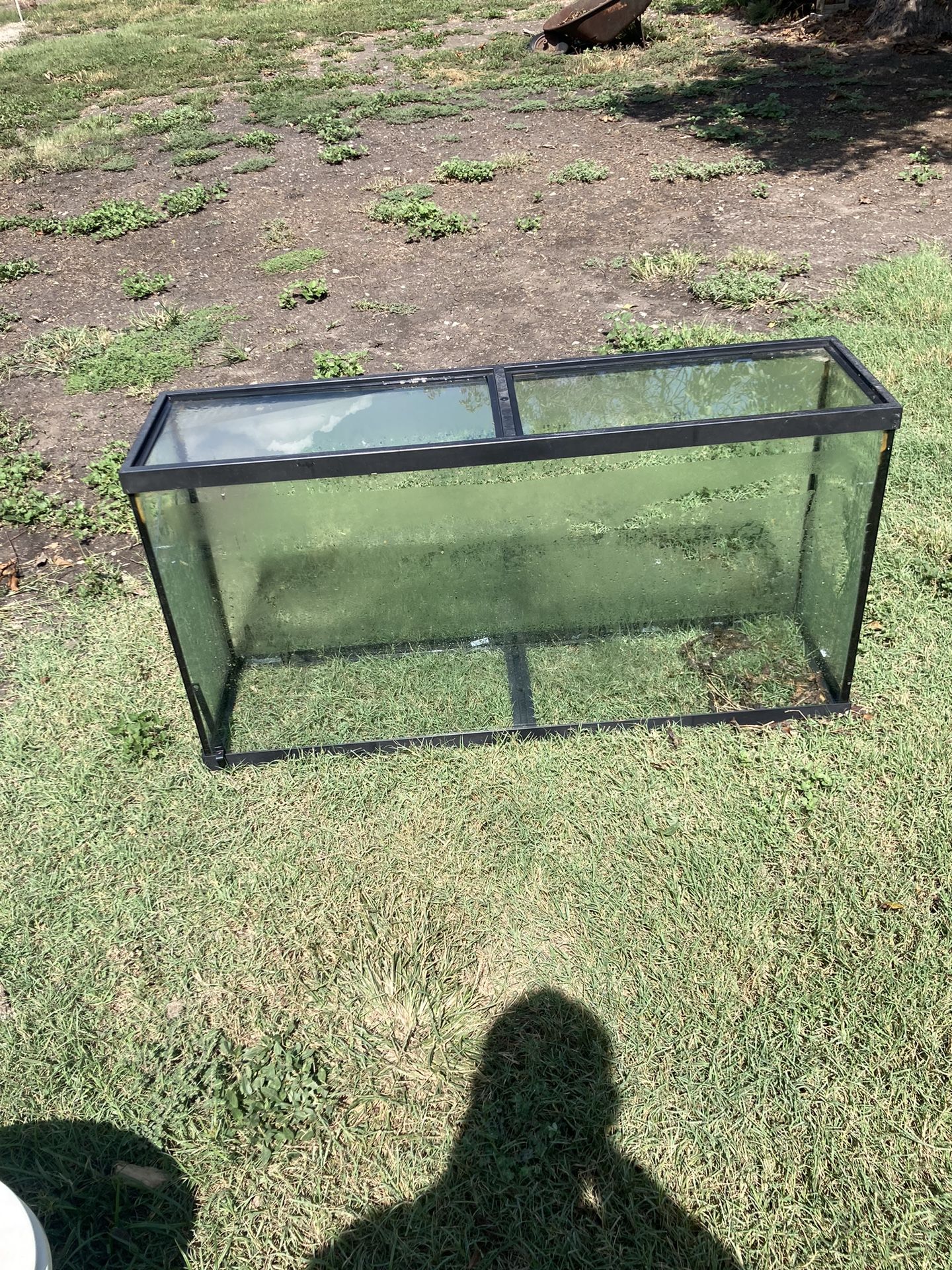Aquarium 