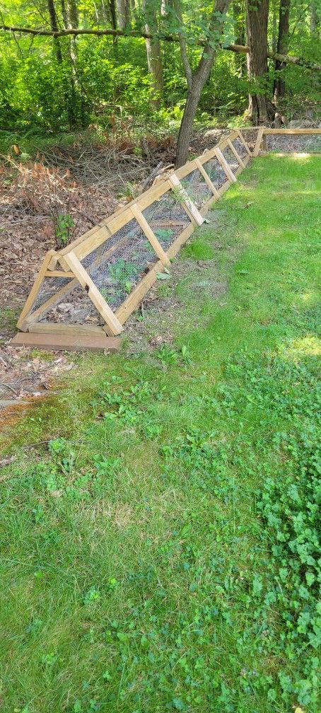 Chicken Tunnel **Price Reduced**