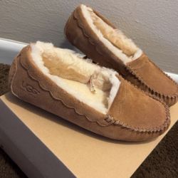 Moccasins 