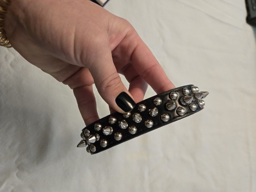 Studded Dog Collar