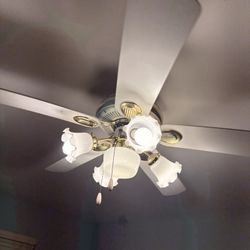 Beautiful Ceiling Fan With Lights