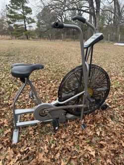 Schwinn Airbyne Mechanical Excersie Bike