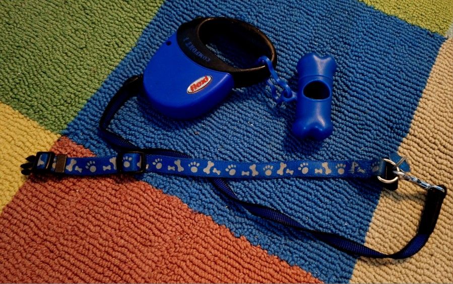 Blue Small Dog Collar And Retractable Leash