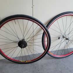 Mavic rims 