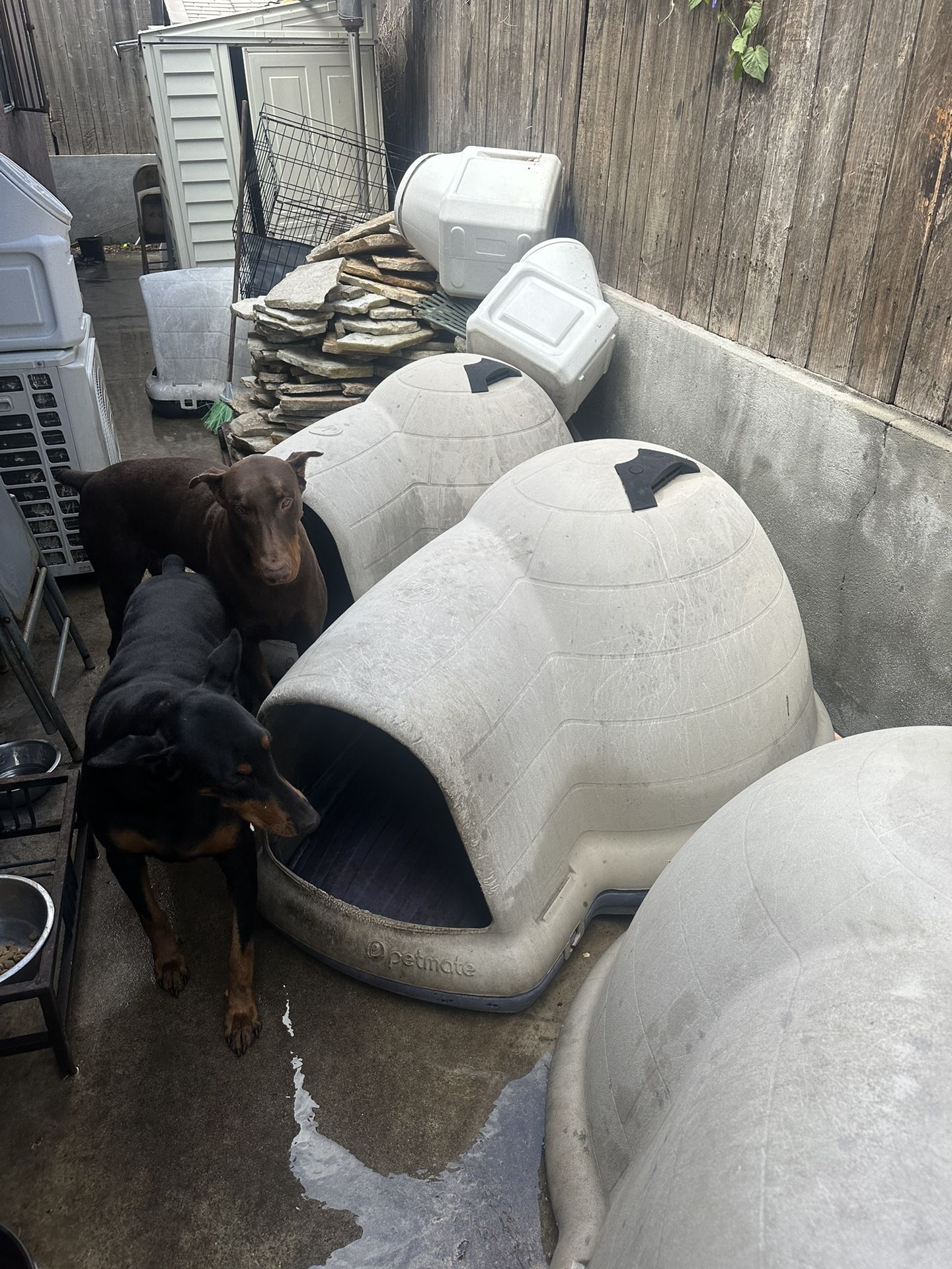 Dog House For Patio , Big Houses