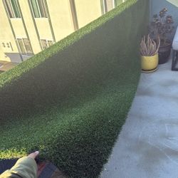 Turf 