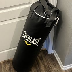 Everlast Punching Bag