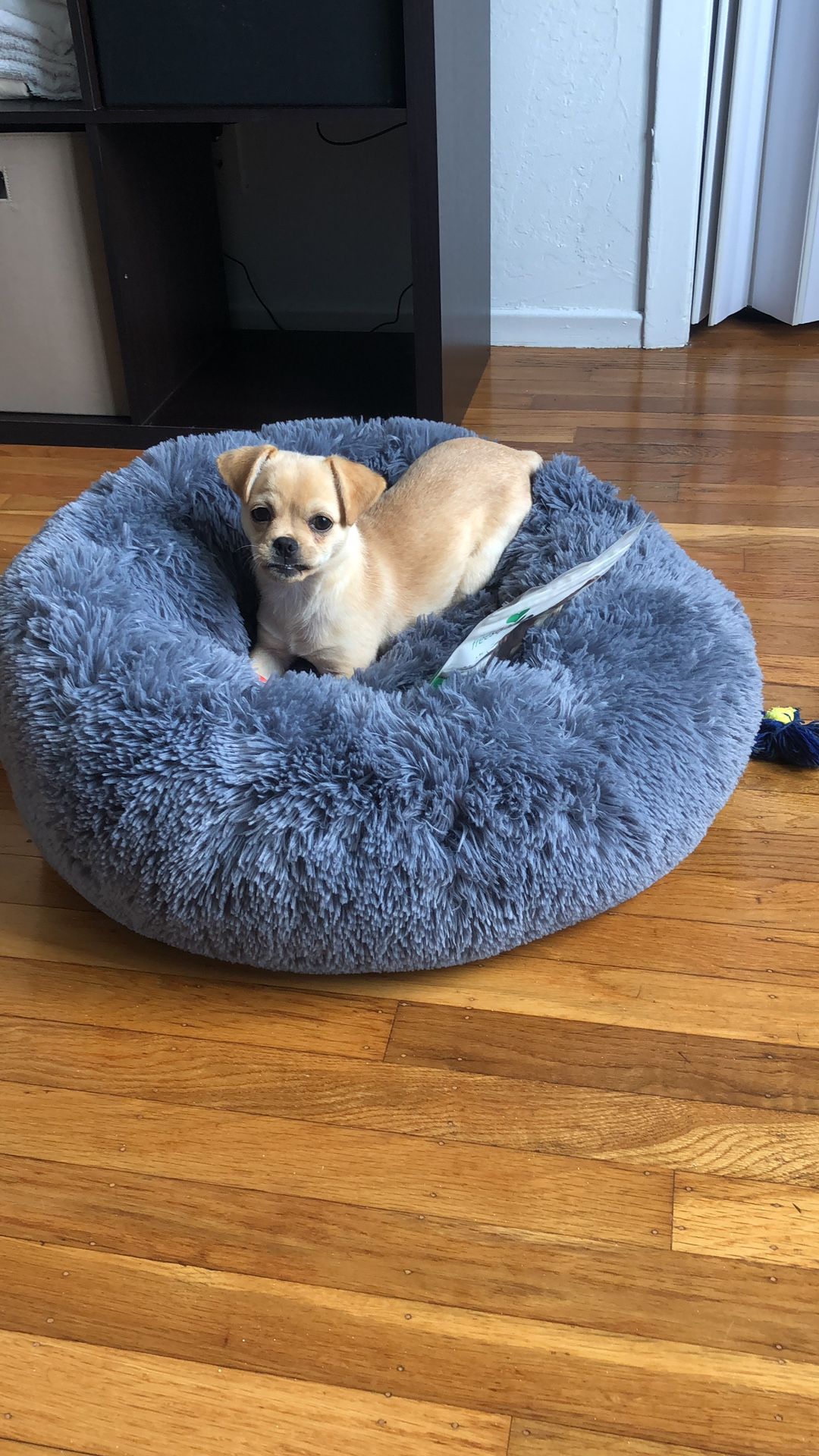 Round Calming Grey Pet Bed