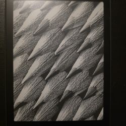 Kindle Paperwhite Gen 12
