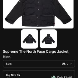 Supreme The North Face Cargo Jacket Large