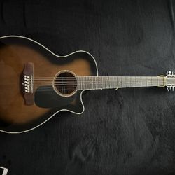 12 String Guitar 
