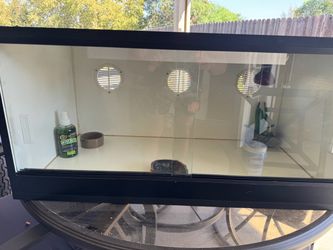 Reptile Enclosure