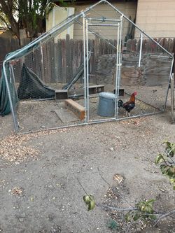 Chicken coop