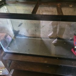 55 Gallon Fish Tank With The Stand