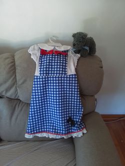 Dorothy costume
