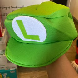Luigi Mens Costume