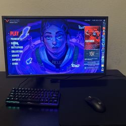 Gaming Monitor 360hz 