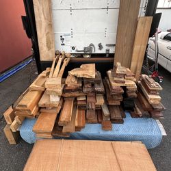 Rare and Exotic Wood Collection Woodworking Luthier