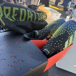 Predator soccer shoes