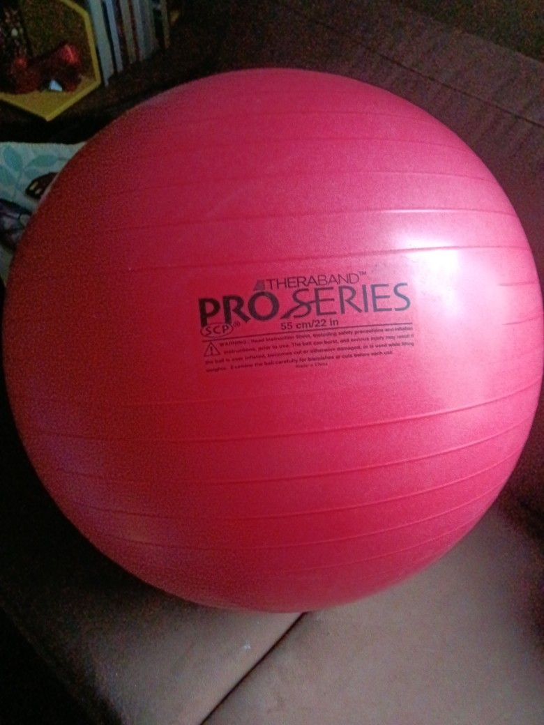 Thera Brand Pro Series 55 Cm/22-in Exercise Ball