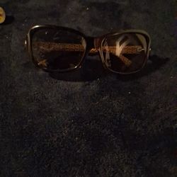 Coach Sunglasses 