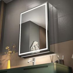 20 in. W x 28 in. H Large Rectangular Silver Wall Mount LED Lighted Medicine Cabinet with Mirror