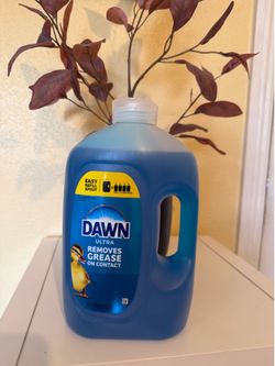 Dawn Dishwash