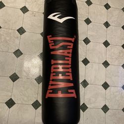 Everlast 100 lbs Standalone Heavy Bag