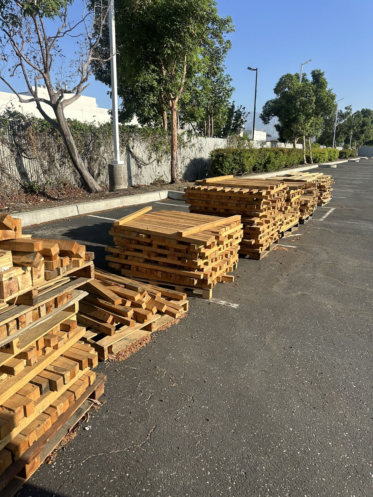 Free Wood