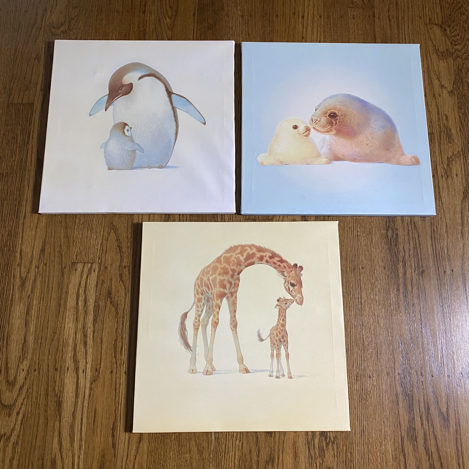 Canvas Art for Baby or Nursery Room Gallery Set of 3