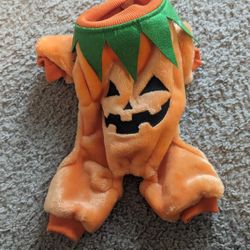 Super CUTE DOG HALLOWEEN PUMPKIN SWEATER NEW MAKE OFFER