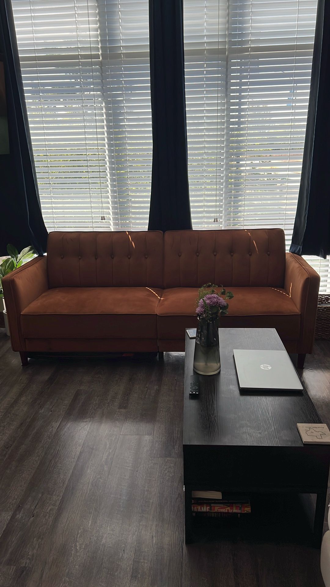 Brown Futon Couch