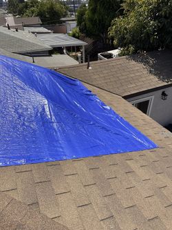 Roof Tarp