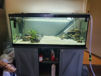 75 Gal Fish Tank Complete Setup