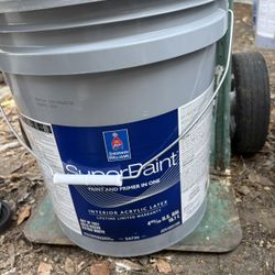 “Filmy green” Paint 