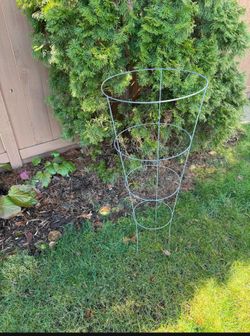 Tomato  Plant Cages - 4 rings- Galvanized Steel