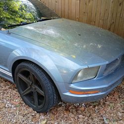 2005 Ford Mustang