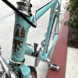 Bianchi Toad Bike 700c