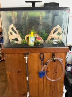 Fish tank with wooden stand