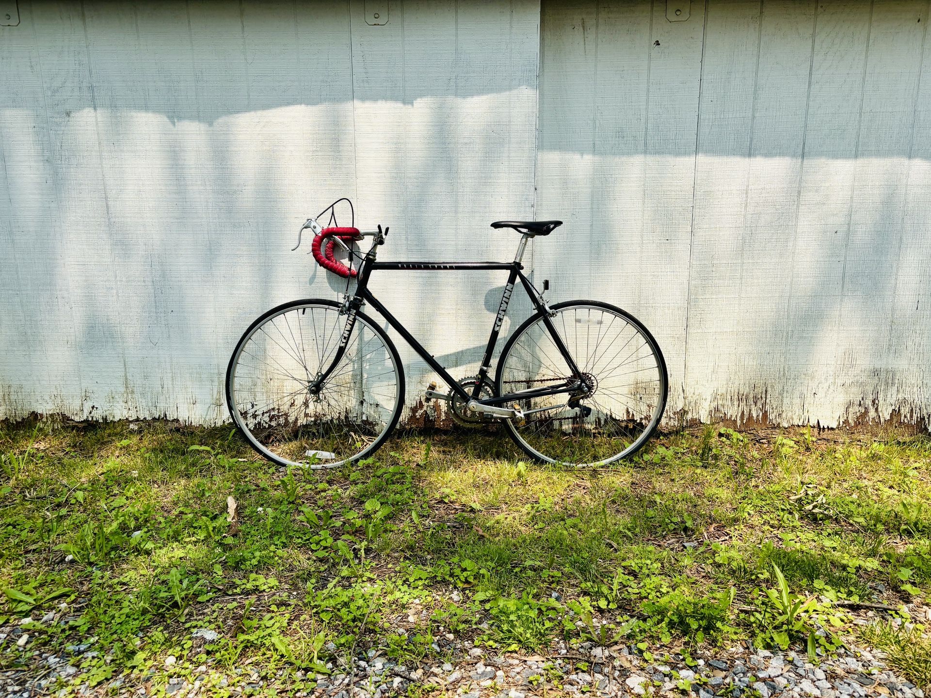 Schwinn World Sport Bike