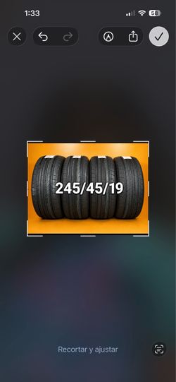 245-45-19