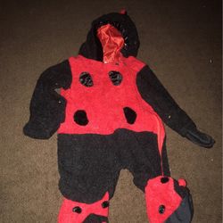 Ladybug Costume