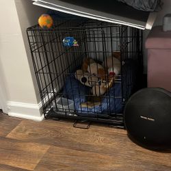 Dog Cage 