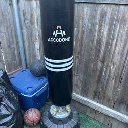 Standup Punching Bag 
