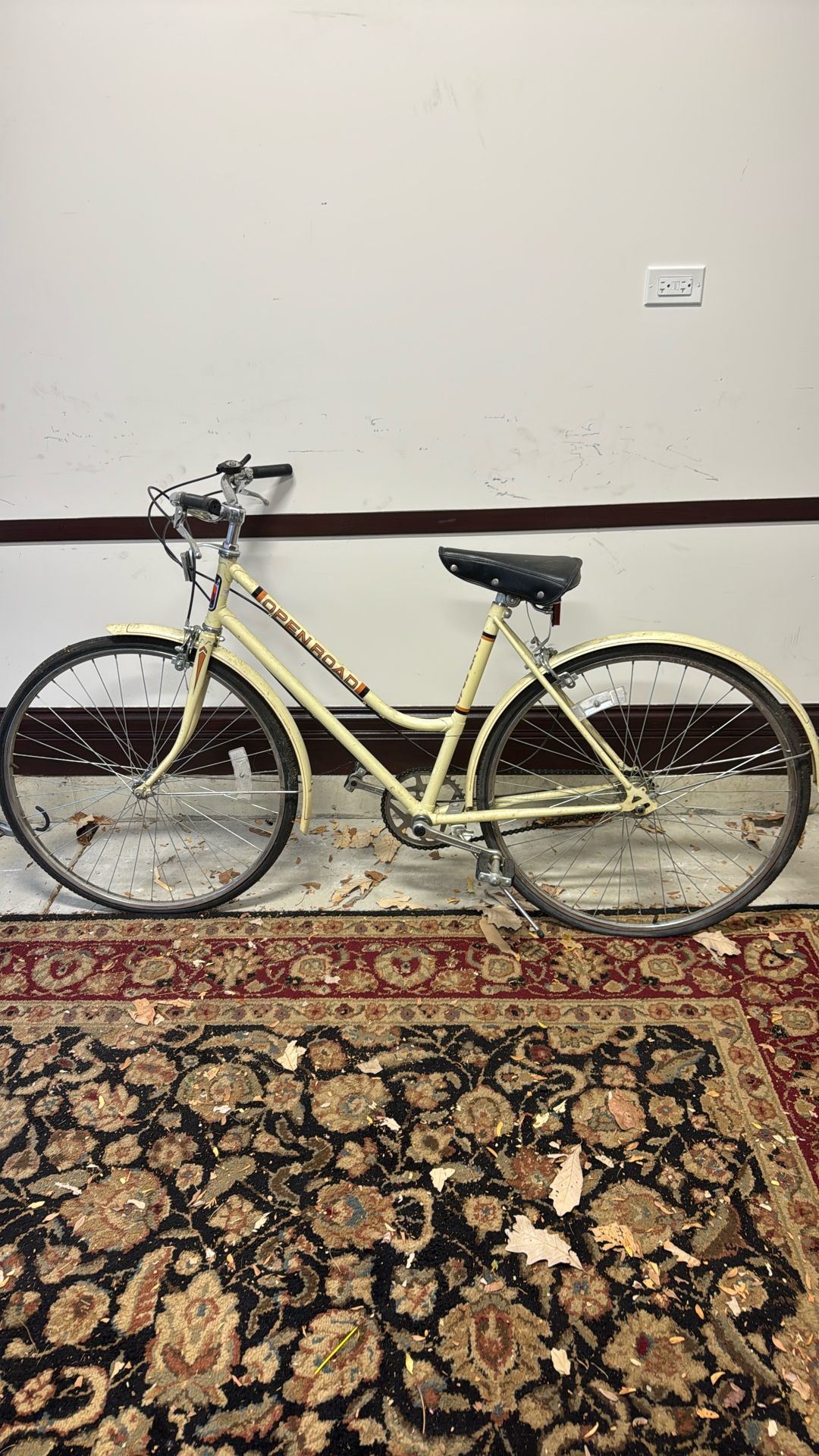 Open Road Bike