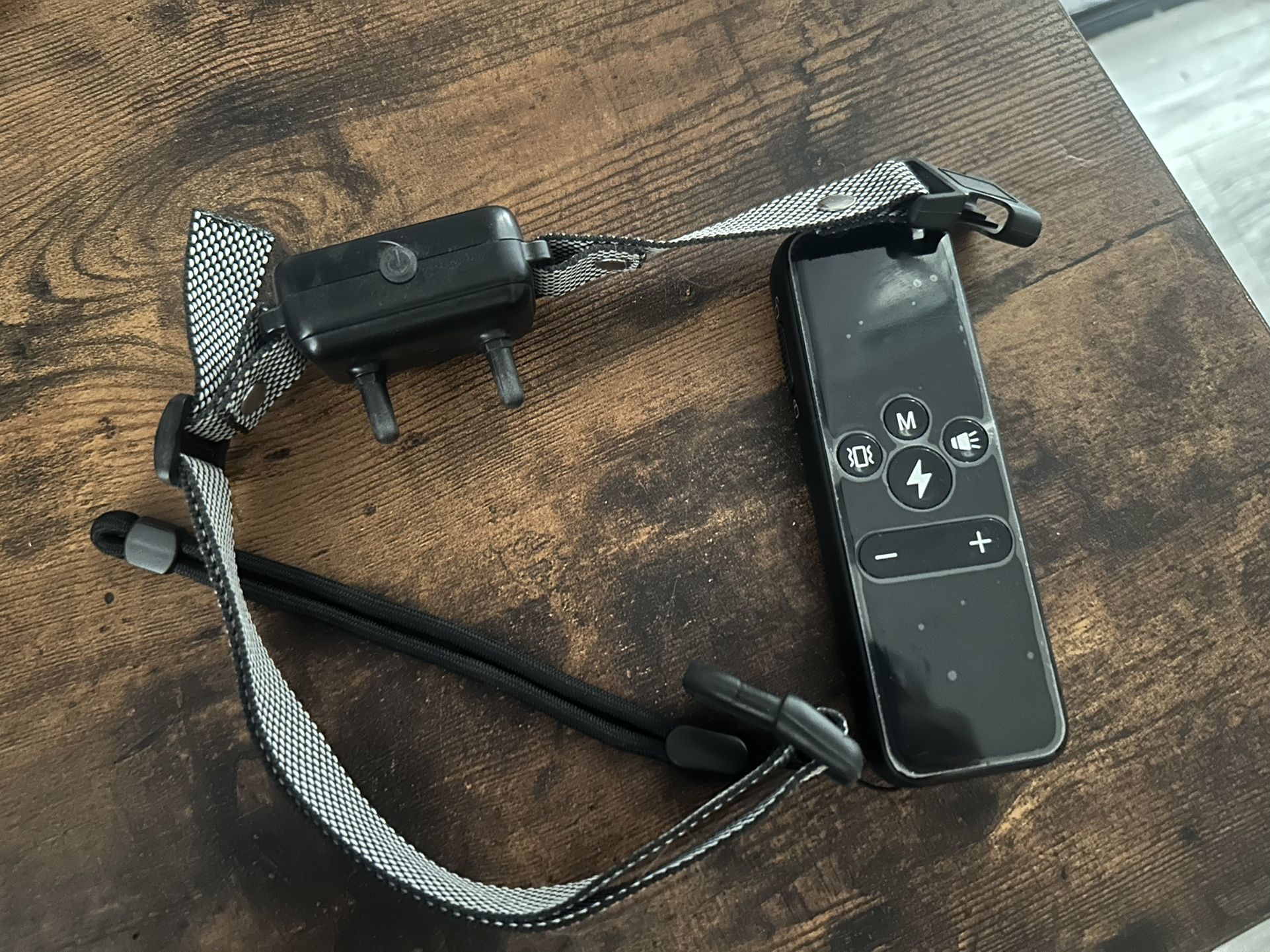 Dog Trainer